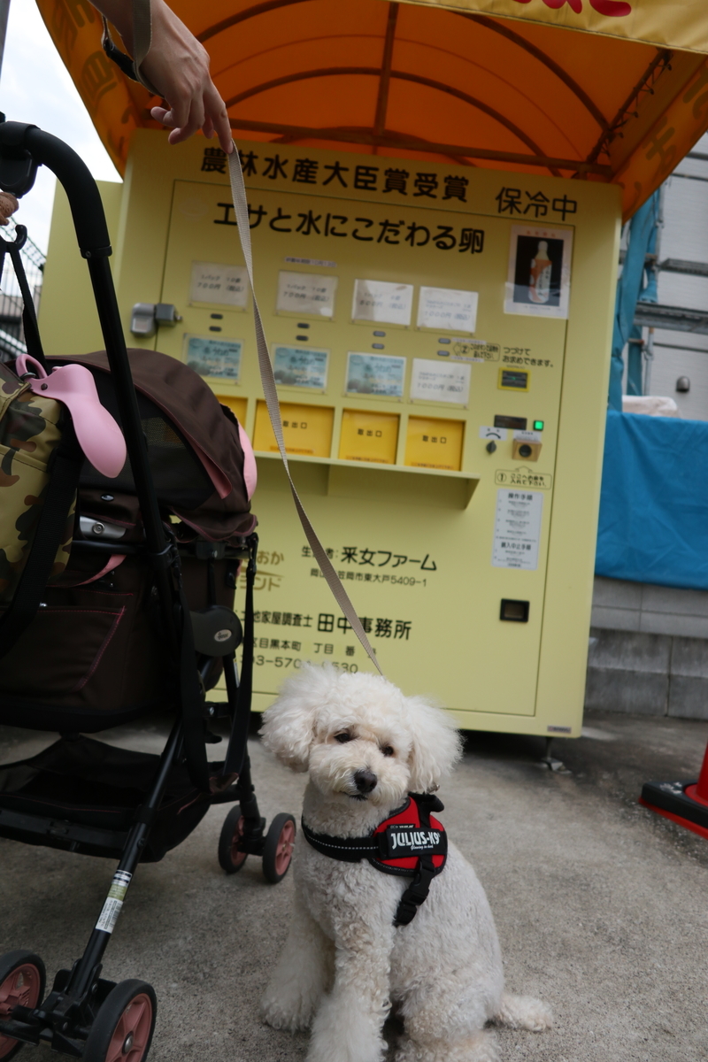f:id:AKARI_PAPA:20210926185220j:plain
