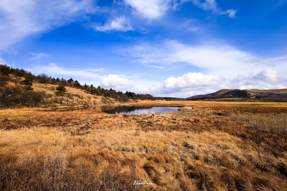 f:id:AKARI_PAPA:20211123192547j:plain