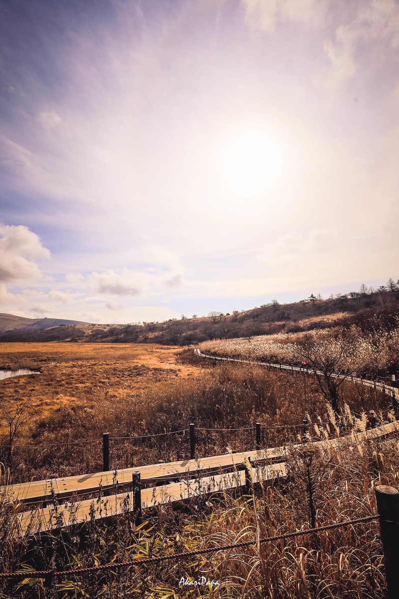 f:id:AKARI_PAPA:20211123192809j:plain