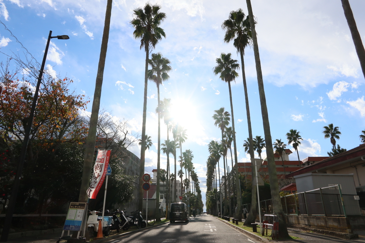 f:id:AKARI_PAPA:20211127200826j:plain