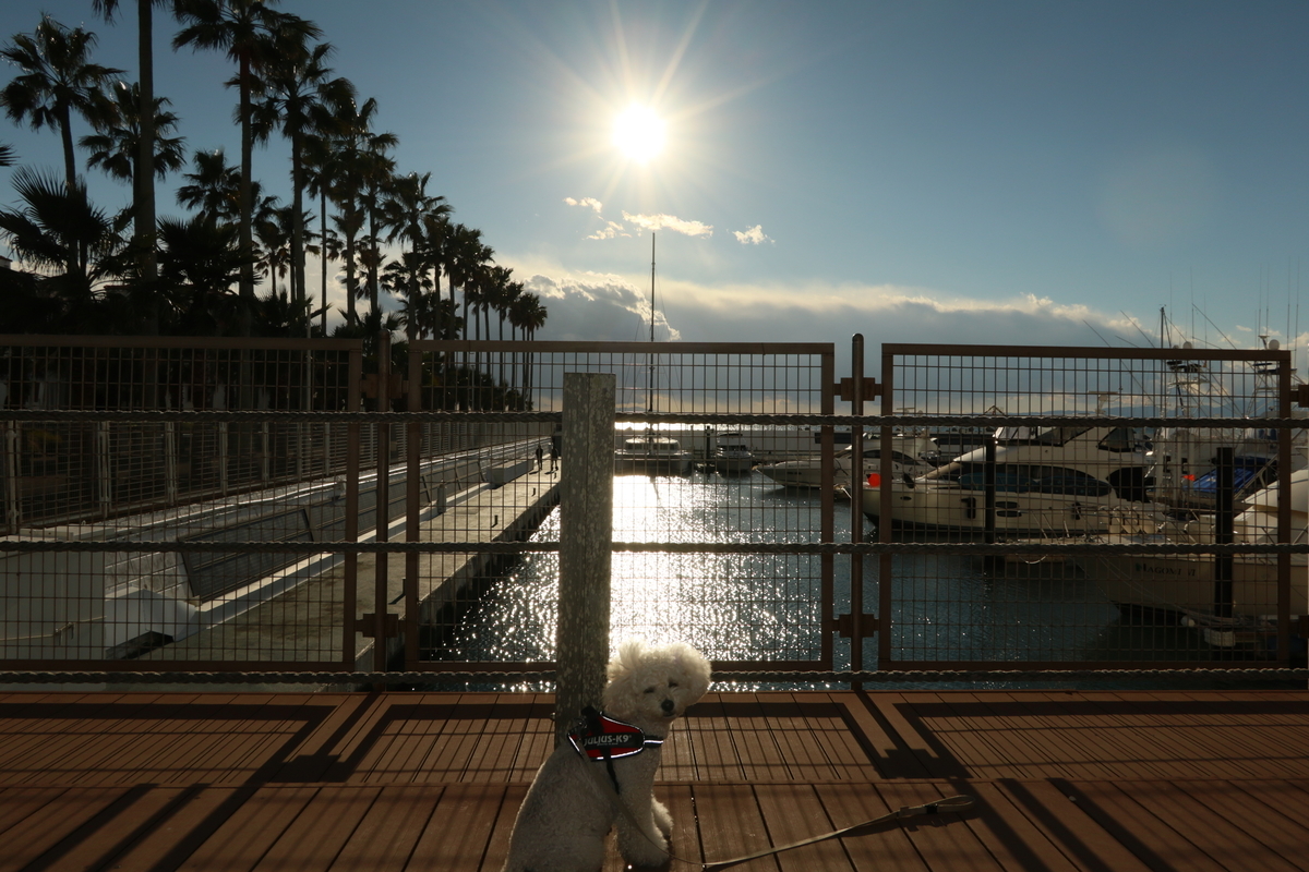 f:id:AKARI_PAPA:20211127201138j:plain