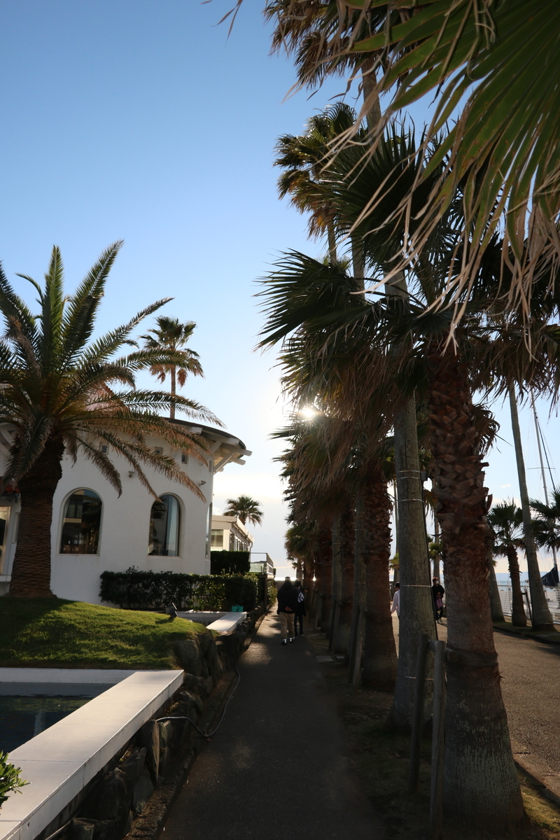 f:id:AKARI_PAPA:20211127201506j:plain