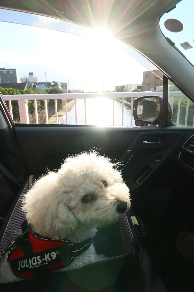 f:id:AKARI_PAPA:20211127201937j:plain