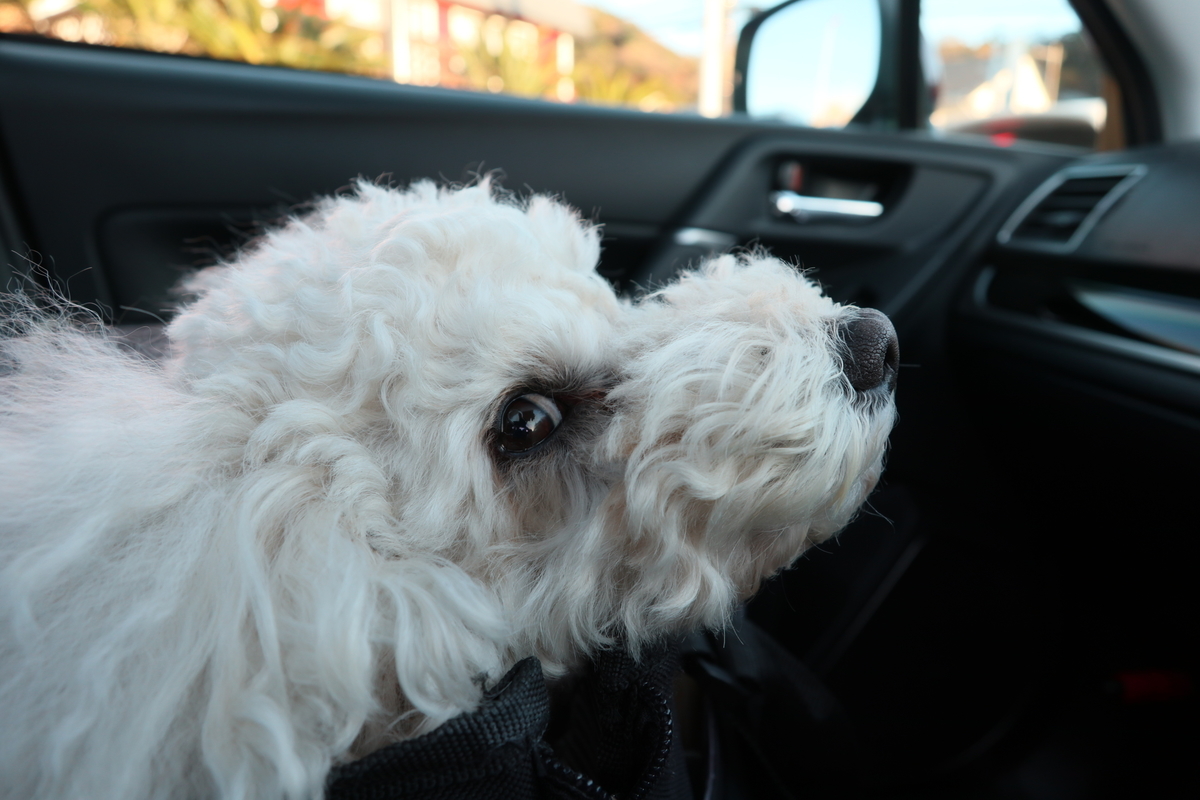 f:id:AKARI_PAPA:20211127202119j:plain