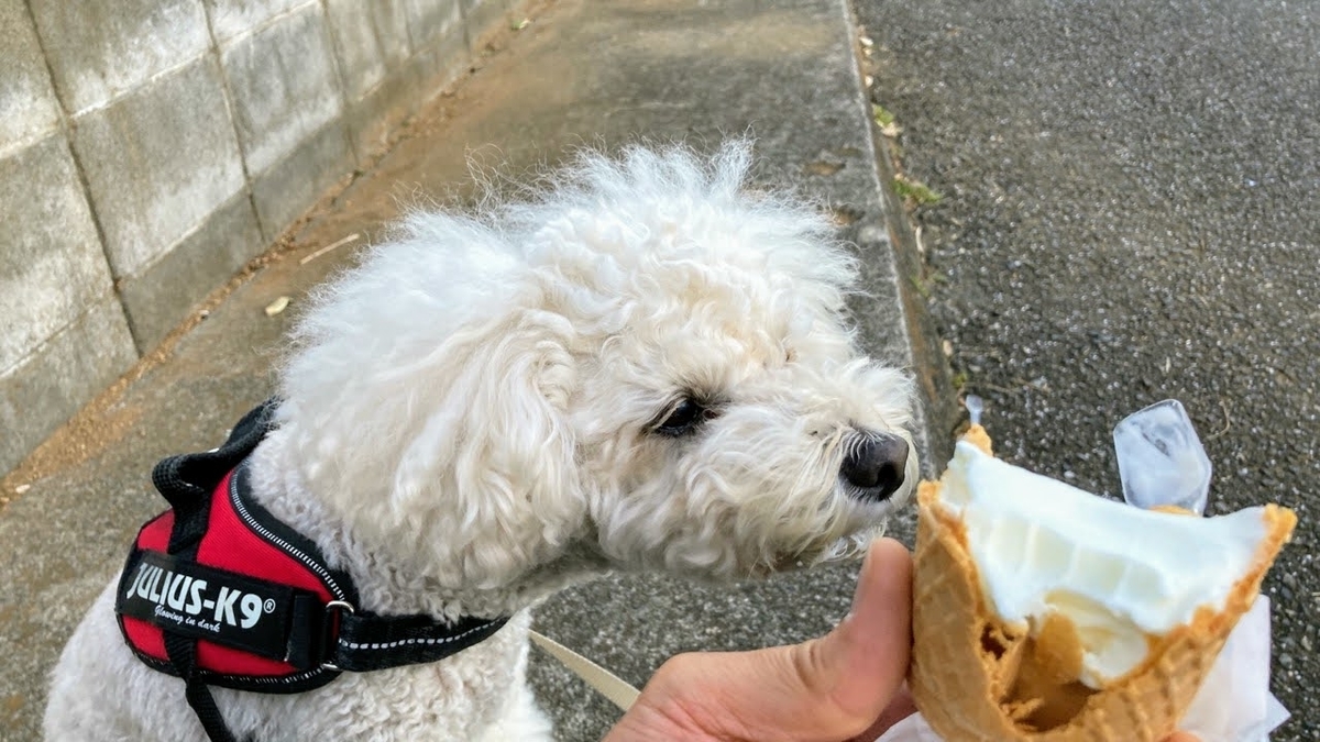 f:id:AKARI_PAPA:20211127202427j:plain