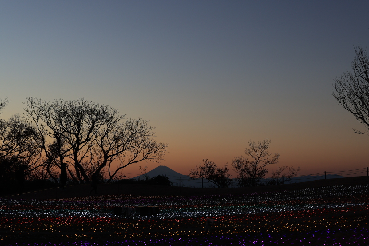 f:id:AKARI_PAPA:20211205185923j:plain