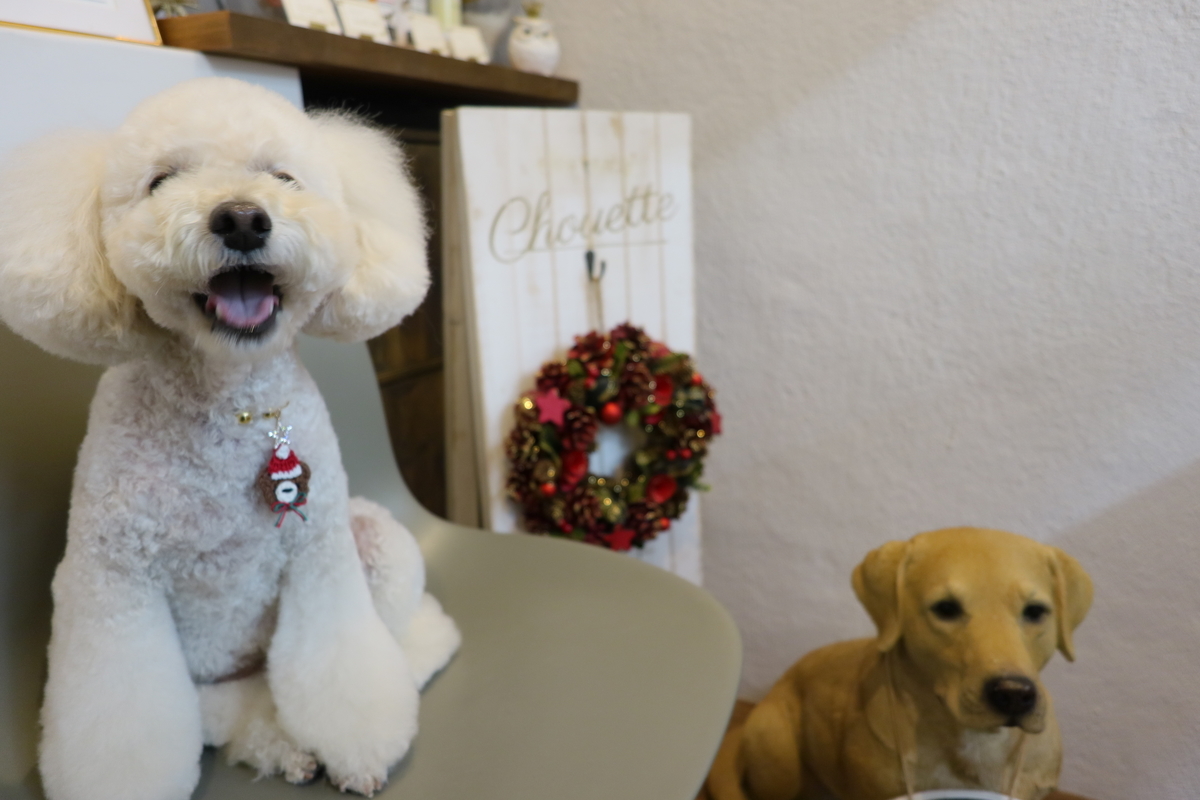 f:id:AKARI_PAPA:20211211175027j:plain