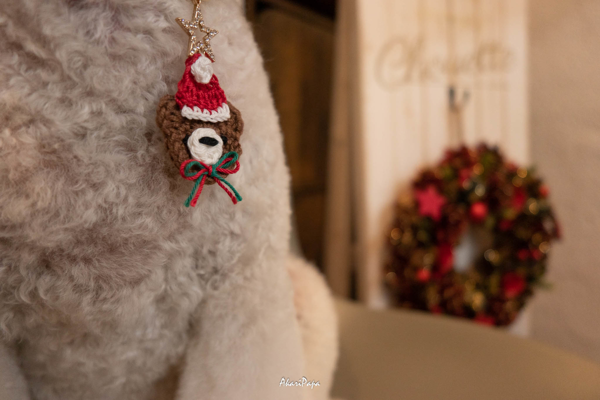 f:id:AKARI_PAPA:20211211175142j:plain