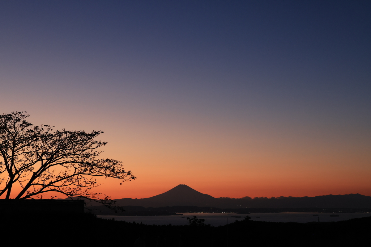 f:id:AKARI_PAPA:20211211191747j:plain