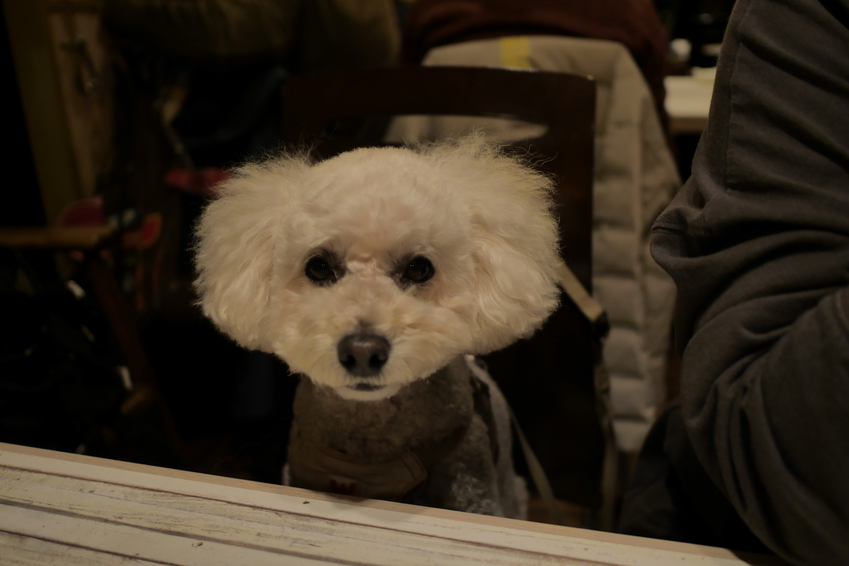 f:id:AKARI_PAPA:20211214201210j:plain