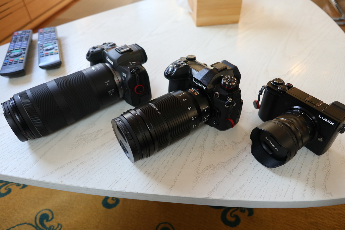 キヤノン RF100-400mm F5.6-8 IS USM 徹底レビュー 完全版