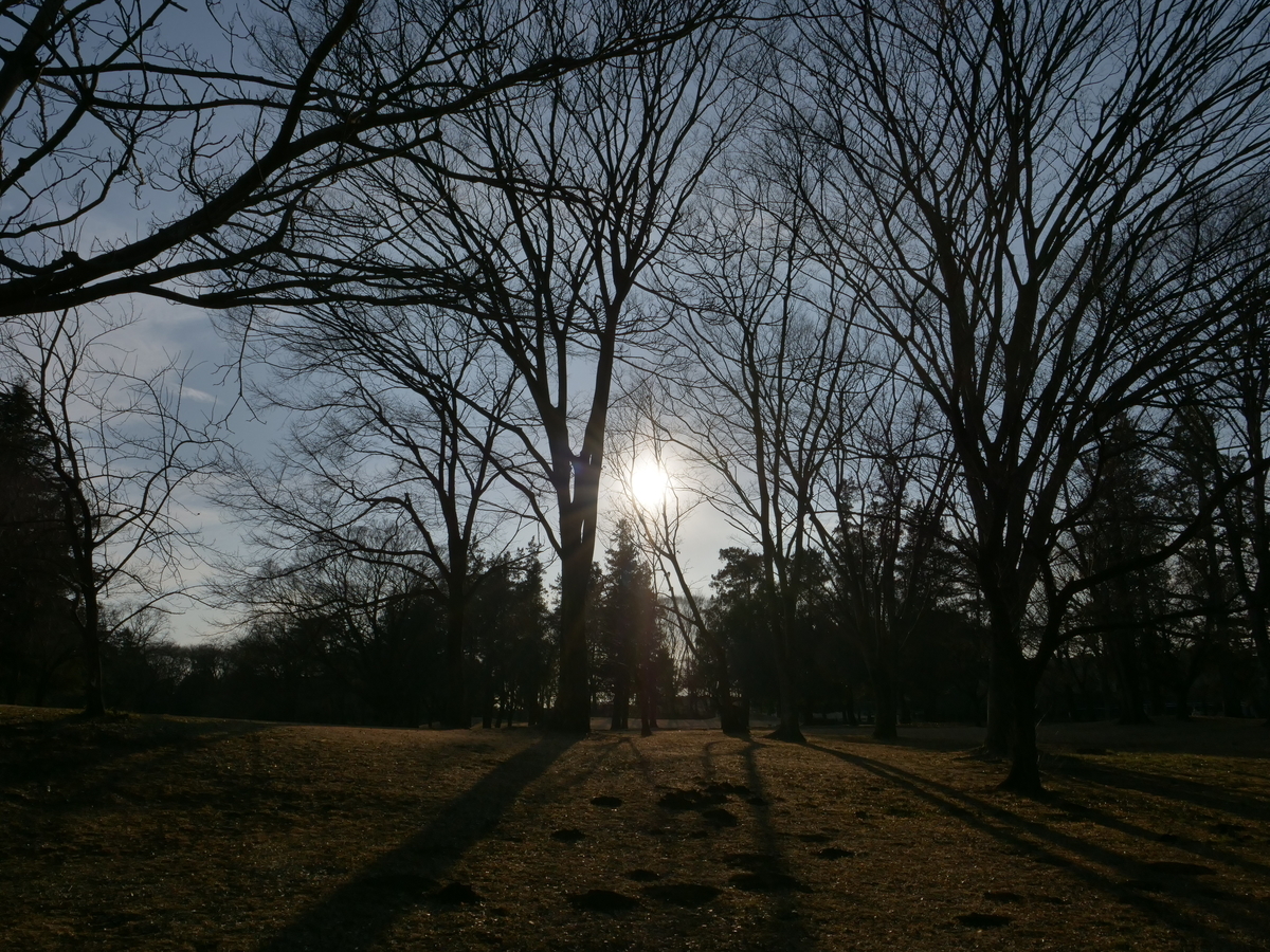 f:id:AKARI_PAPA:20220130232307j:plain