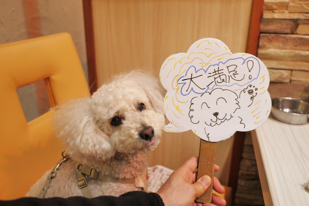 f:id:AKARI_PAPA:20220220224340j:plain
