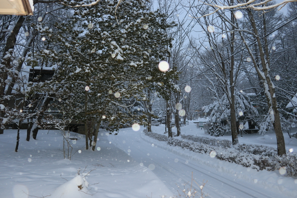 f:id:AKARI_PAPA:20220307081952j:plain