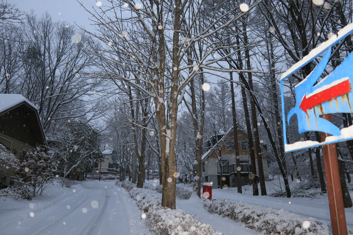 f:id:AKARI_PAPA:20220307082006j:plain