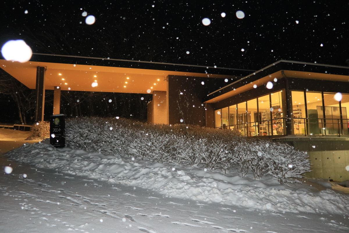 f:id:AKARI_PAPA:20220307082137j:plain