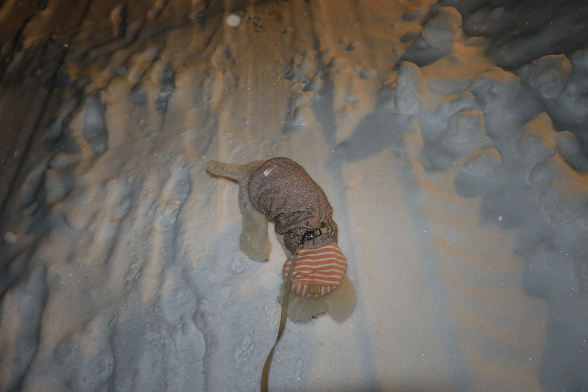 f:id:AKARI_PAPA:20220307082236j:plain