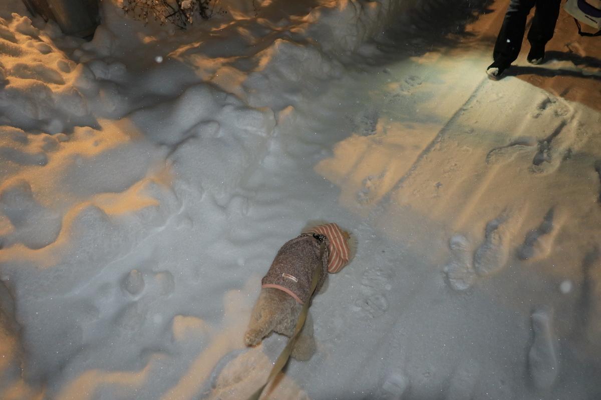 f:id:AKARI_PAPA:20220307082256j:plain