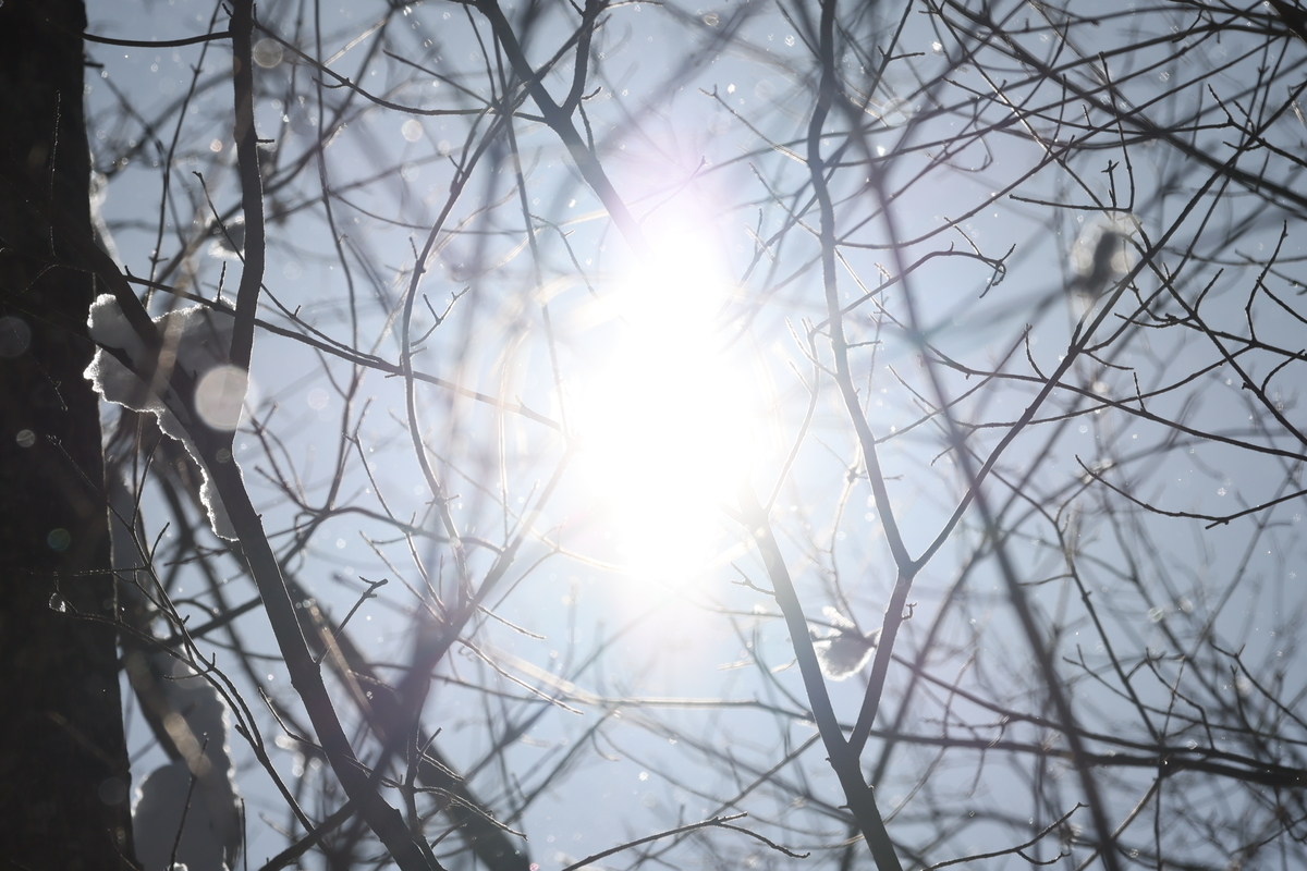 f:id:AKARI_PAPA:20220307082840j:plain