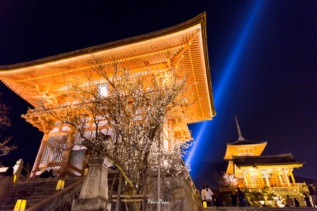 f:id:AKARI_PAPA:20220313223751j:plain