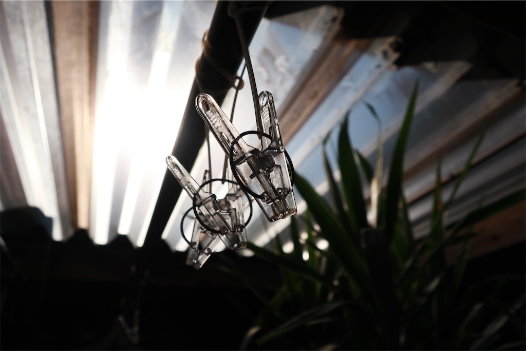 f:id:AKARI_PAPA:20220724100429j:image f:id:AKARI_PAPA:20220724100429j:image