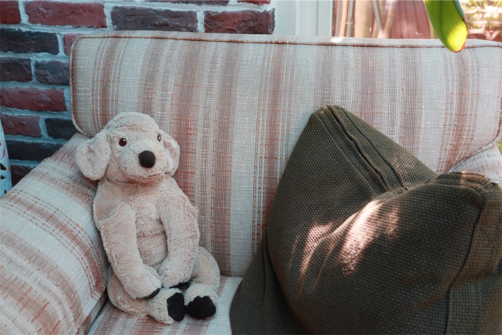 f:id:AKARI_PAPA:20220724104606j:image