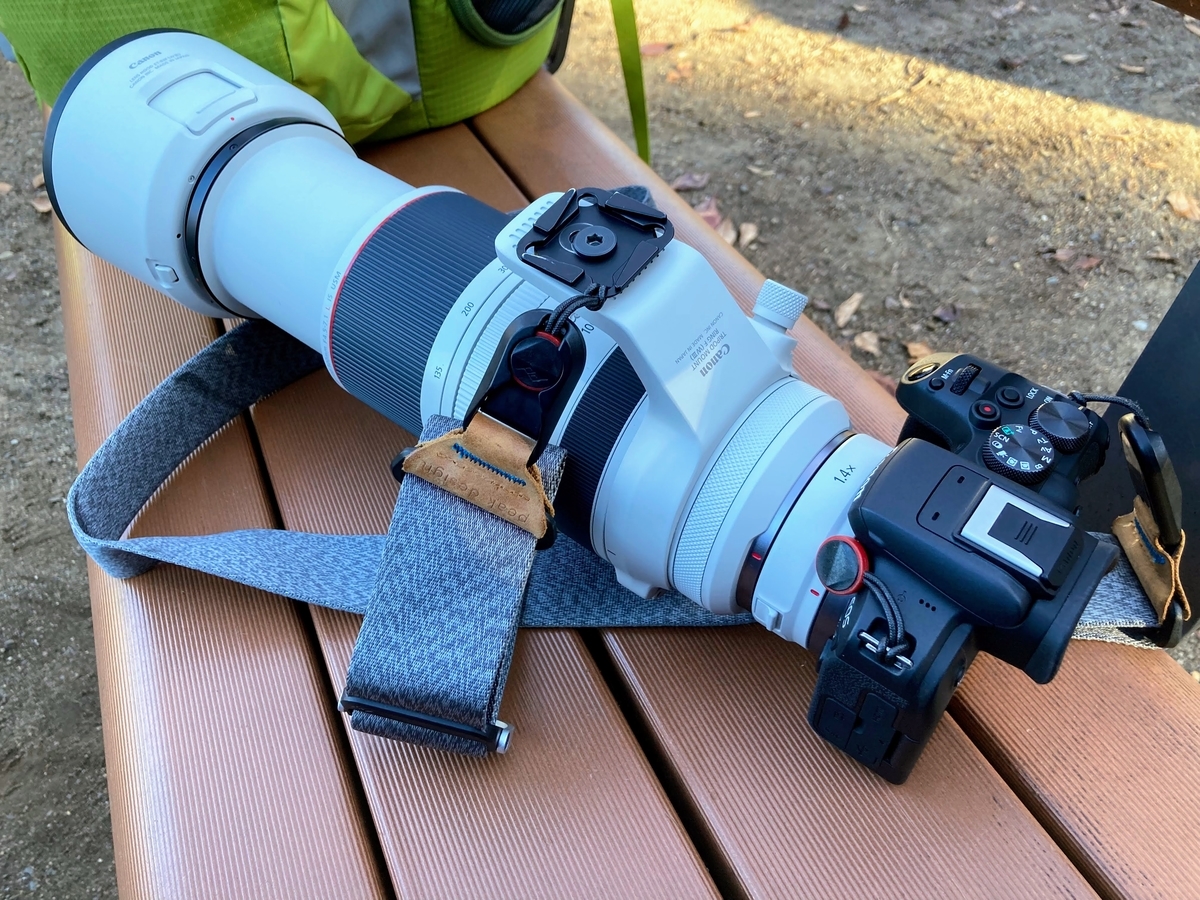 EOS R10で鳥撮り（四季の森公園散歩） - あかりぱぱの徒然なるままに