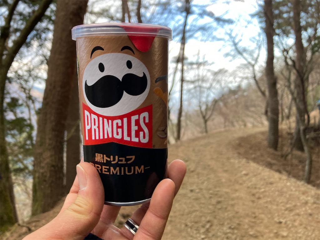 f:id:AKARI_PAPA:20230109171256j:image