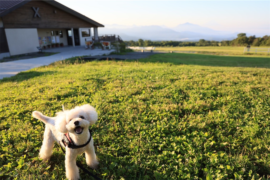 f:id:AKARI_PAPA:20230118230021j:image