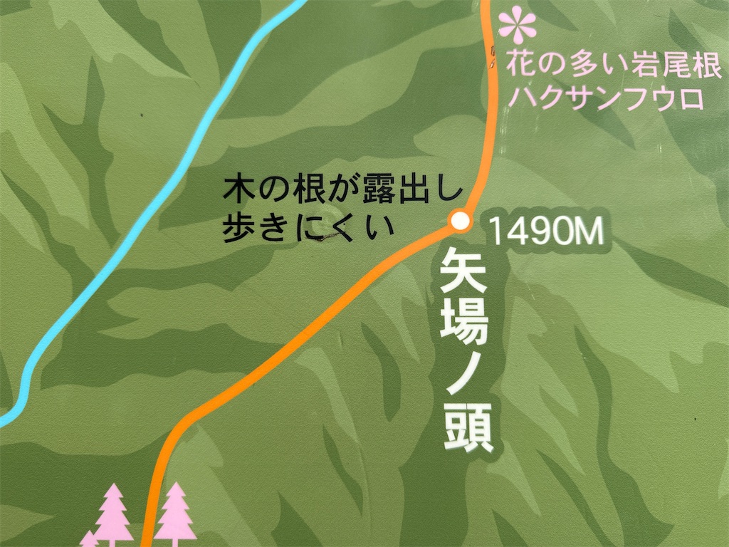 f:id:AKARI_PAPA:20231020070439j:image f:id:AKARI_PAPA:20231020070439j:image