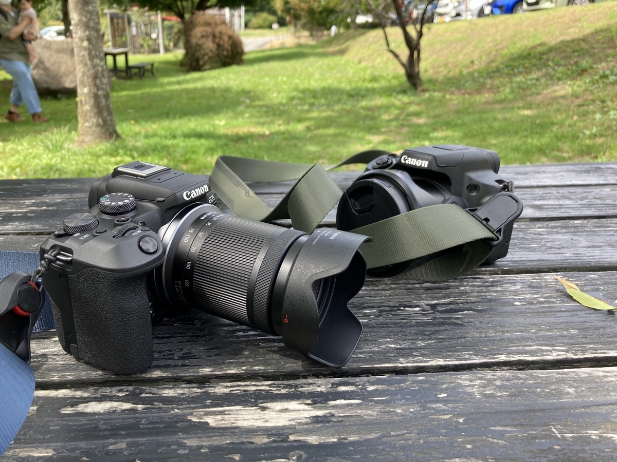 鳥撮りの定番！ PowerShot SX70 HS - あかりぱぱの徒然なるままに