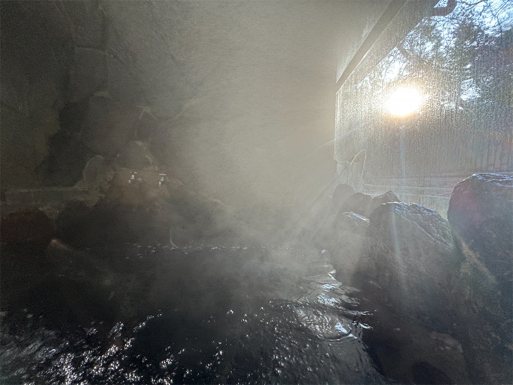 f:id:AKARI_PAPA:20240106162024j:image