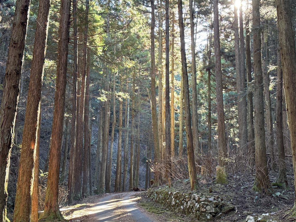 f:id:AKARI_PAPA:20240106193152j:image f:id:AKARI_PAPA:20240106193152j:image