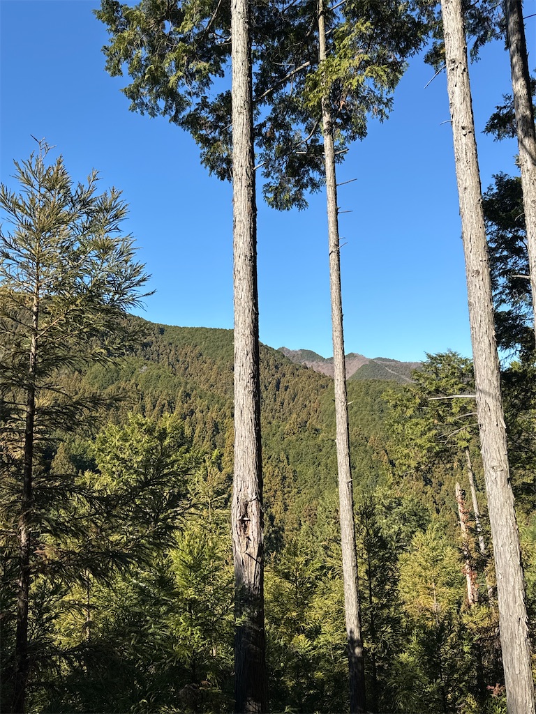 f:id:AKARI_PAPA:20240106193159j:image f:id:AKARI_PAPA:20240106193159j:image