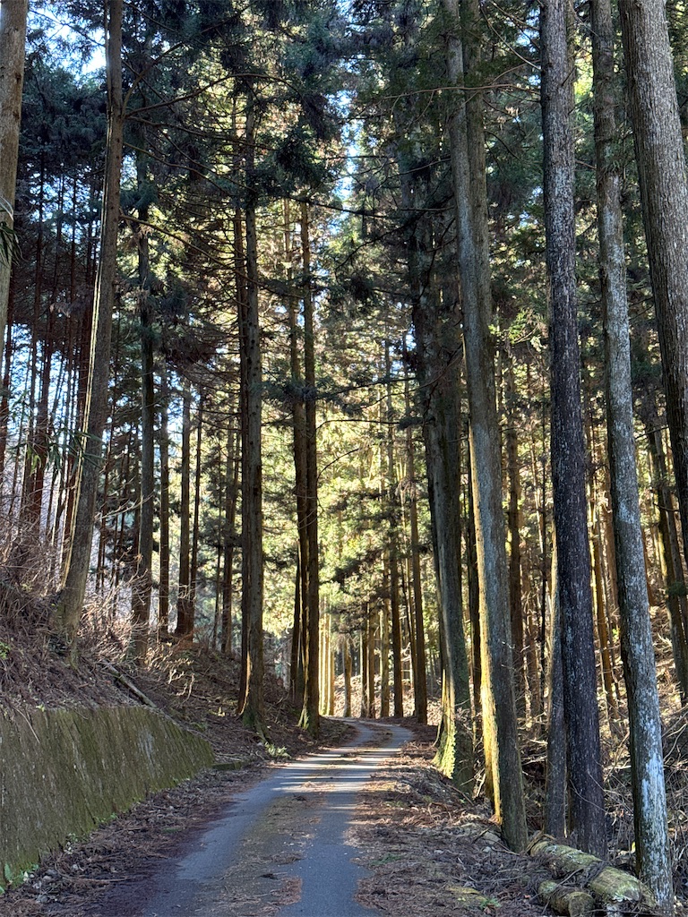 f:id:AKARI_PAPA:20240106193215j:image f:id:AKARI_PAPA:20240106193215j:image