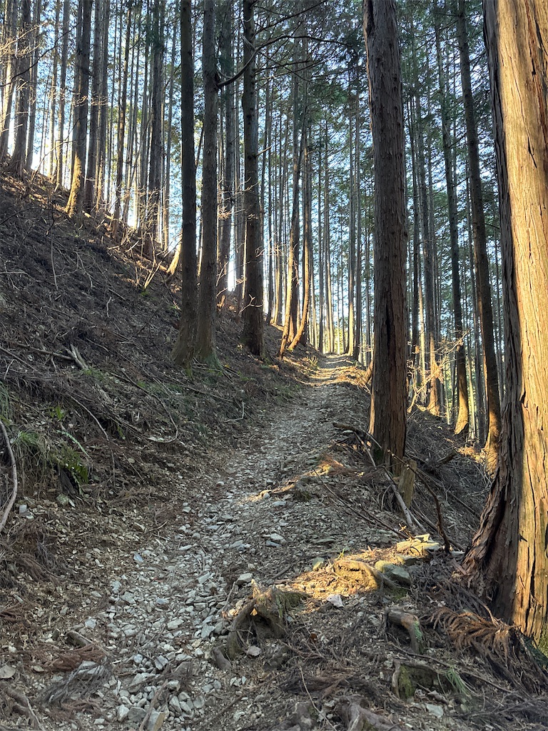 f:id:AKARI_PAPA:20240106193222j:image f:id:AKARI_PAPA:20240106193222j:image