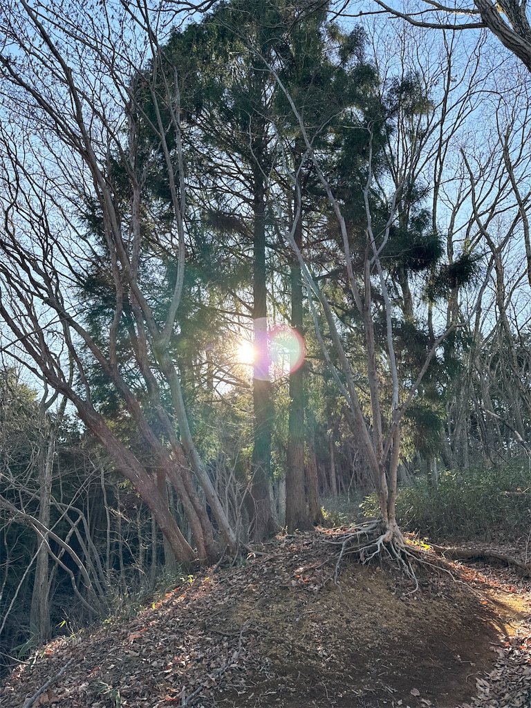 f:id:AKARI_PAPA:20240106193345j:image f:id:AKARI_PAPA:20240106193345j:image