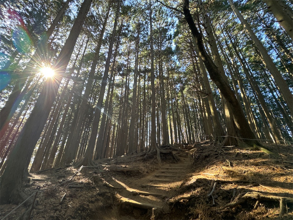 f:id:AKARI_PAPA:20240106193348j:image f:id:AKARI_PAPA:20240106193348j:image