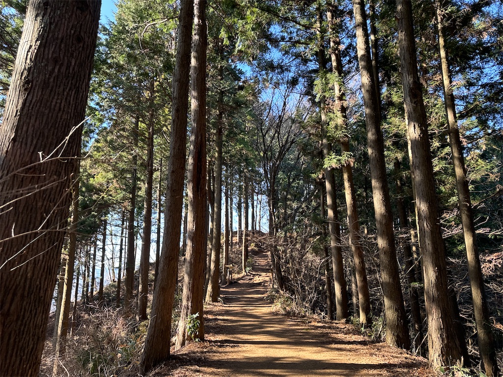 f:id:AKARI_PAPA:20240106193552j:image f:id:AKARI_PAPA:20240106193552j:image