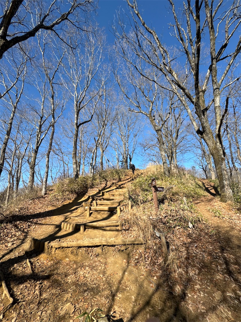 f:id:AKARI_PAPA:20240106193602j:image f:id:AKARI_PAPA:20240106193602j:image