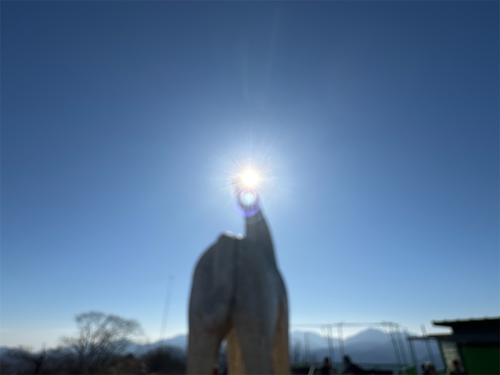 f:id:AKARI_PAPA:20240106193728j:image f:id:AKARI_PAPA:20240106193728j:image