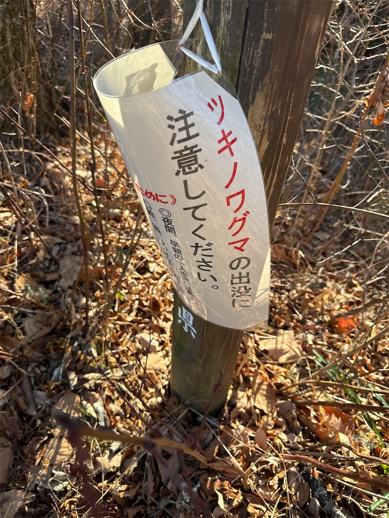 f:id:AKARI_PAPA:20240106193926j:image f:id:AKARI_PAPA:20240106193926j:image