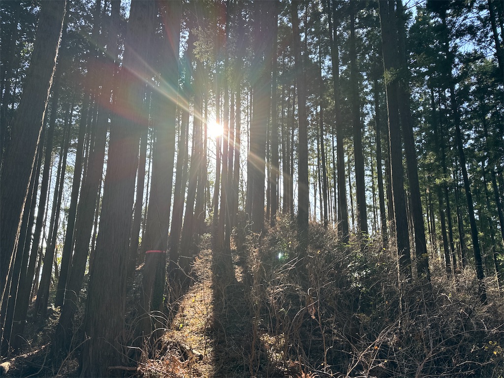 f:id:AKARI_PAPA:20240106194102j:image f:id:AKARI_PAPA:20240106194102j:image