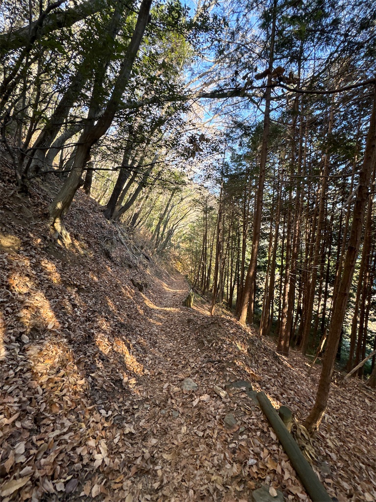 f:id:AKARI_PAPA:20240106194112j:image f:id:AKARI_PAPA:20240106194112j:image