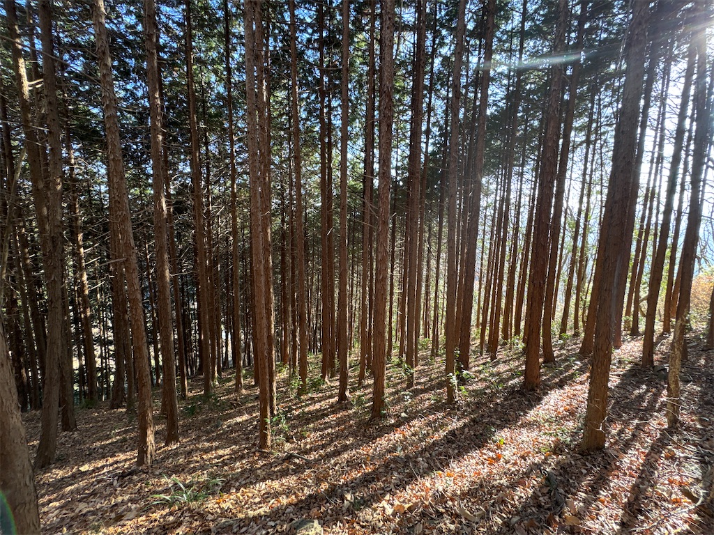 f:id:AKARI_PAPA:20240106194115j:image f:id:AKARI_PAPA:20240106194115j:image