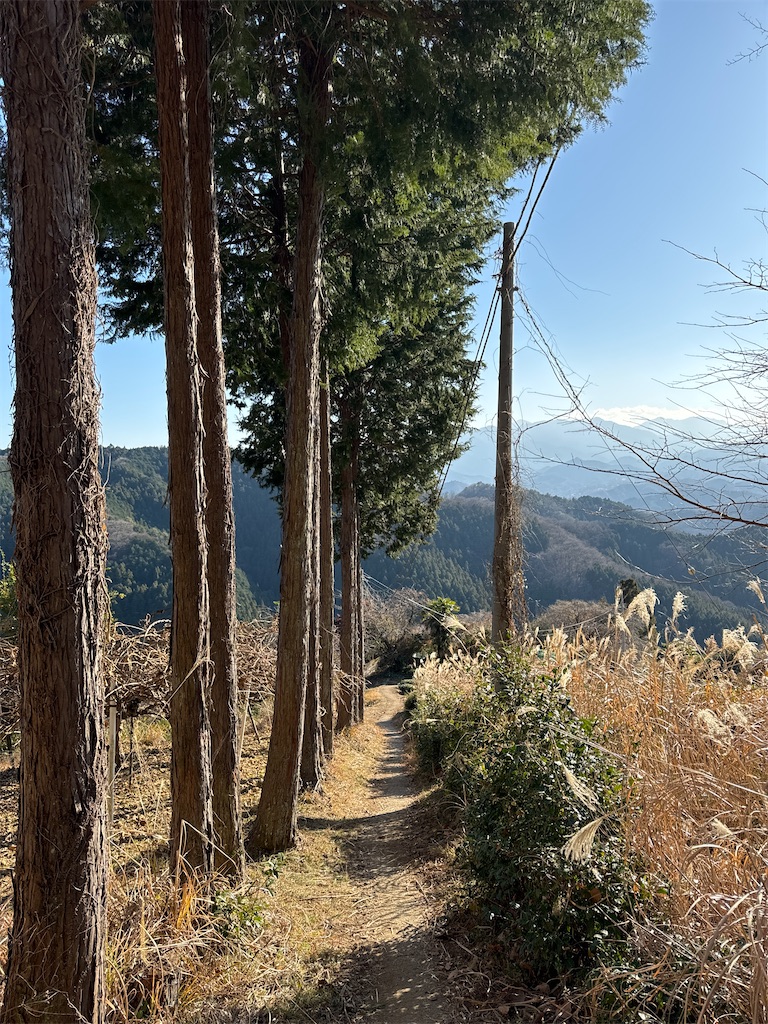 f:id:AKARI_PAPA:20240106194134j:image f:id:AKARI_PAPA:20240106194134j:image