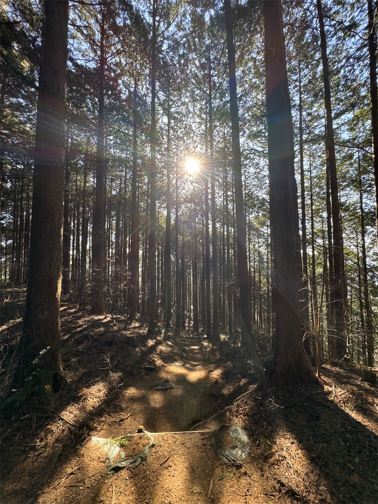 f:id:AKARI_PAPA:20240106194137j:image f:id:AKARI_PAPA:20240106194137j:image