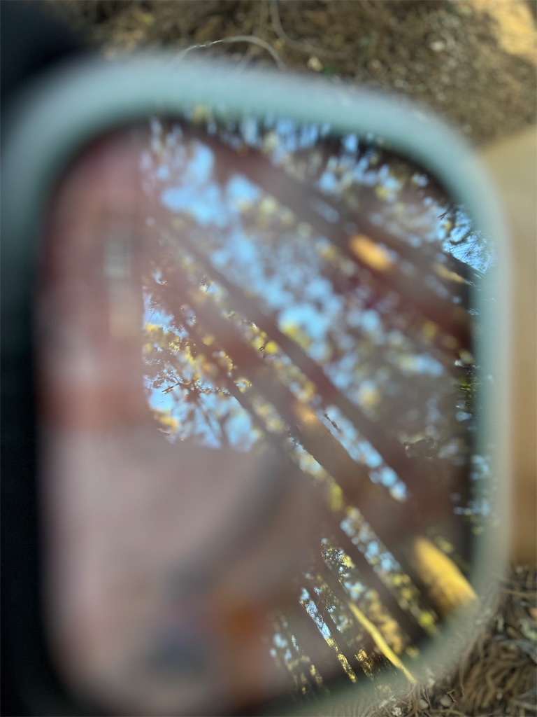 f:id:AKARI_PAPA:20240106194143j:image f:id:AKARI_PAPA:20240106194143j:image