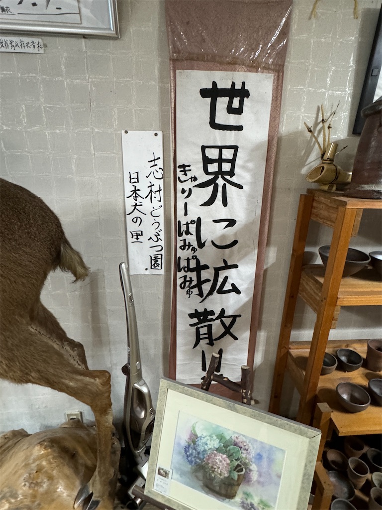 f:id:AKARI_PAPA:20240106194312j:image f:id:AKARI_PAPA:20240106194312j:image