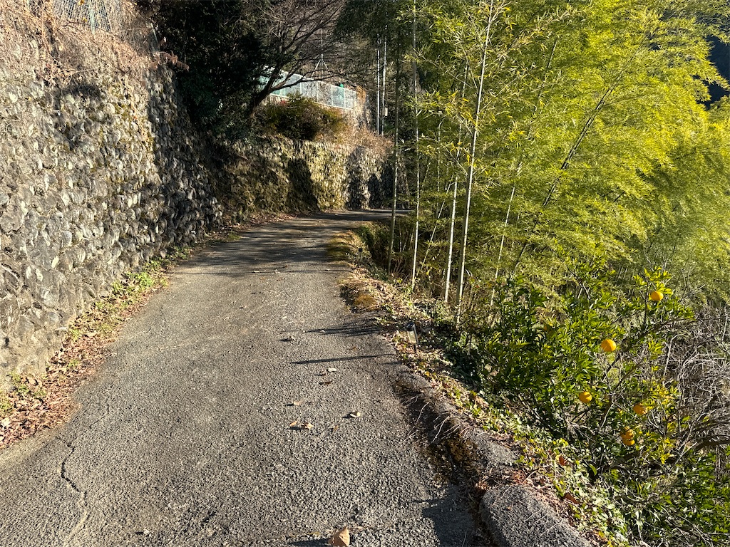 f:id:AKARI_PAPA:20240106194321j:image f:id:AKARI_PAPA:20240106194321j:image